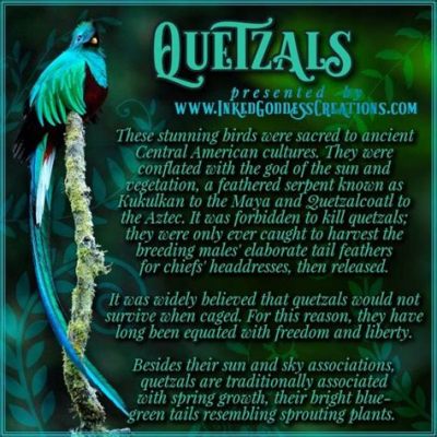  The Quetzal's Feather - A Sparkling Tale of Courage and Self-Sacrifice?